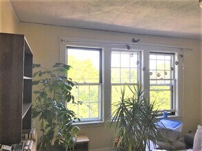 168 Norfolk St, Unit 5 in Cambridge, MA - Building Photo - Building Photo