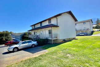 342 Old Gray Station Rd in Johnson City, TN - Building Photo - Building Photo