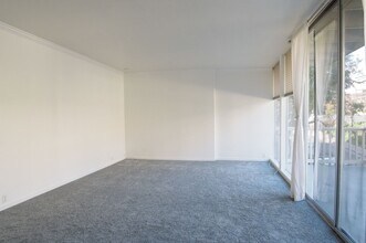 32 Andrew Dr in Tiburon, CA - Building Photo - Building Photo