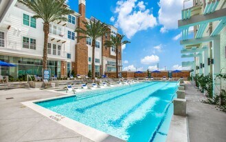 255 Assay in Houston, TX - Building Photo