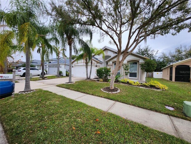 22707 Roderick Dr in Land O Lakes, FL - Building Photo - Building Photo
