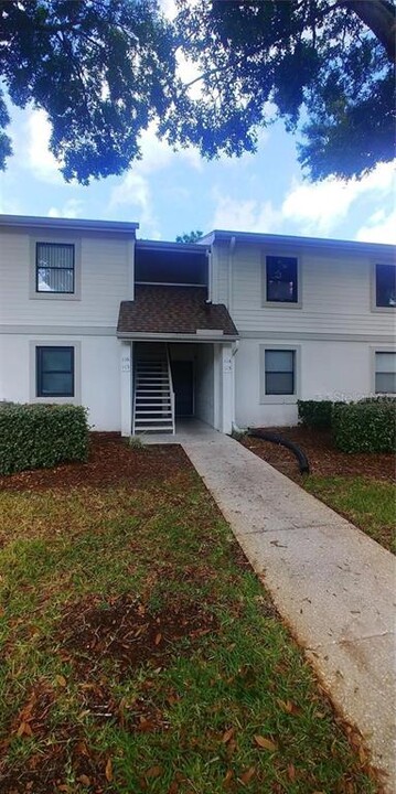 115 Meadow Ln in Oldsmar, FL - Building Photo