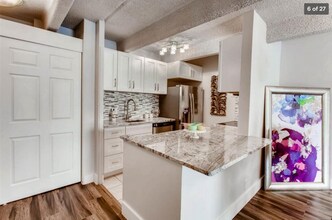 1365 Columbine St, Unit 201 in Denver, CO - Building Photo - Building Photo