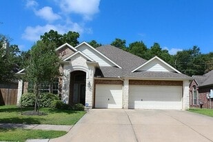 30511 Riverstone Springs Dr in Spring, TX - Building Photo