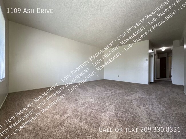 1109 Ash Dr in Lodi, CA - Foto de edificio - Building Photo