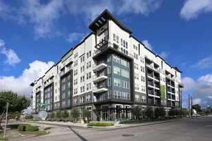 Windsor Shepherd in Houston, TX - Building Photo