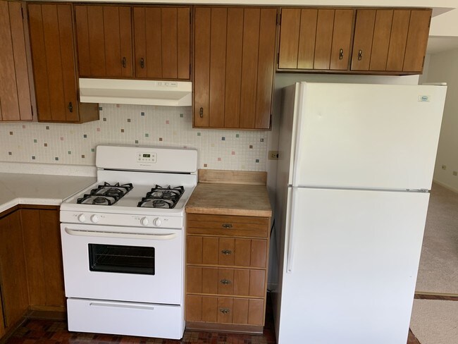 33 N Jane Dr in Elgin, IL - Building Photo - Building Photo