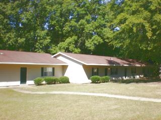 South Forge Apartments in Wedgefield, SC - Building Photo - Building Photo