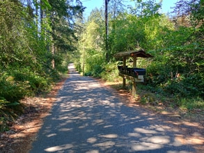 8008 149th St NW in Gig Harbor, WA - Building Photo - Building Photo