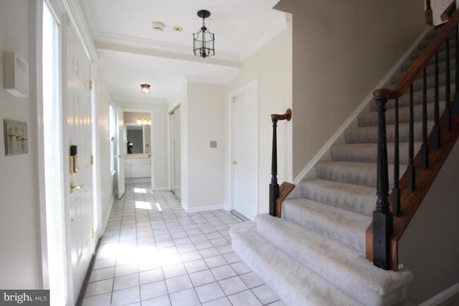 6423 Little Potters Ln