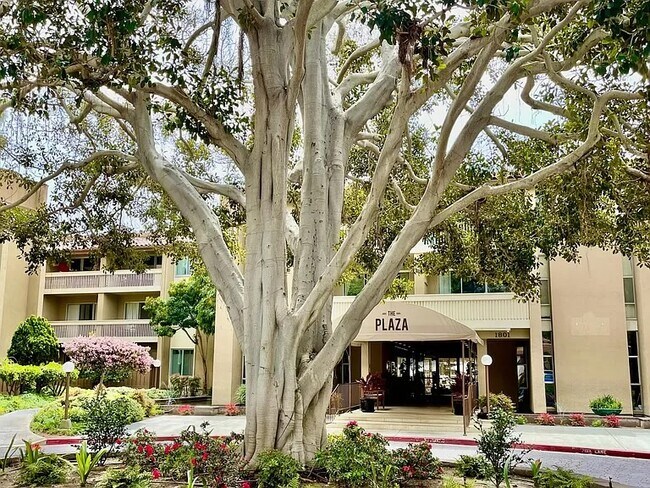 4600 Lamont St, Unit The Plaza Condominium in San Diego, CA - Foto de edificio - Building Photo