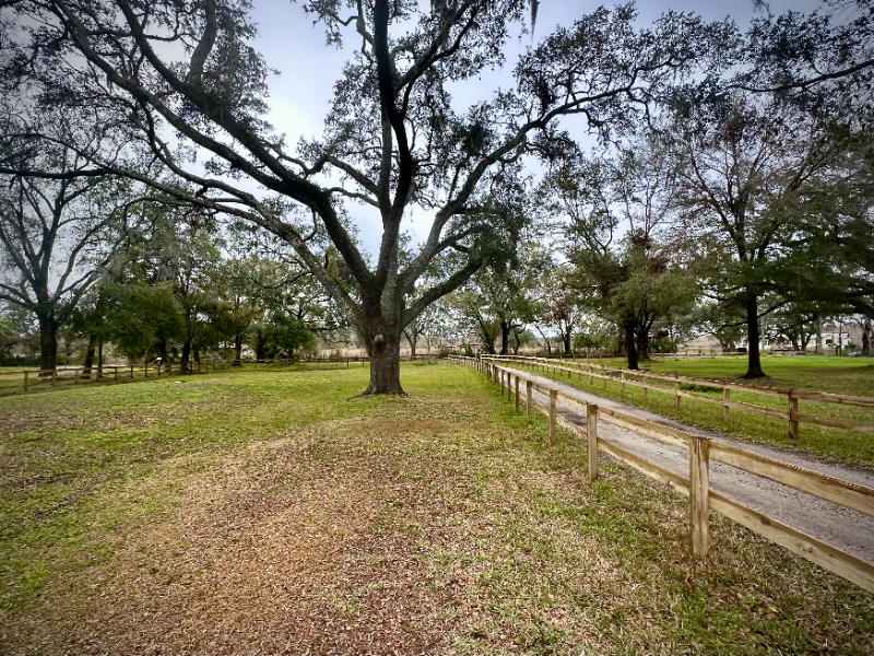 11027 Circle S Rd-Unit -Bungalow in Seffner, FL - Building Photo