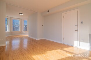 1141 S Francisco Ave in Chicago, IL - Building Photo