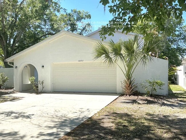 16202 Fantasia Dr in Tampa, FL - Building Photo - Building Photo