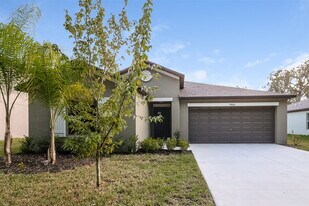 39886 Dawson Chase Dr in Zephyrhills, FL - Building Photo