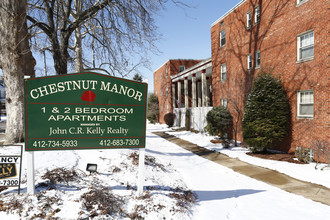 Chestnut Manor in Pittsburgh, PA - Foto de edificio - Building Photo