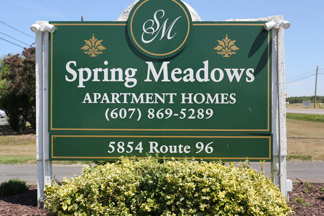 Spring Meadows in Romulus, NY - Foto de edificio - Building Photo