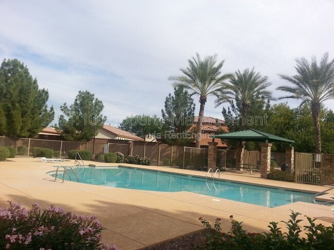 2644 E Chester Dr in Chandler, AZ - Building Photo - Building Photo