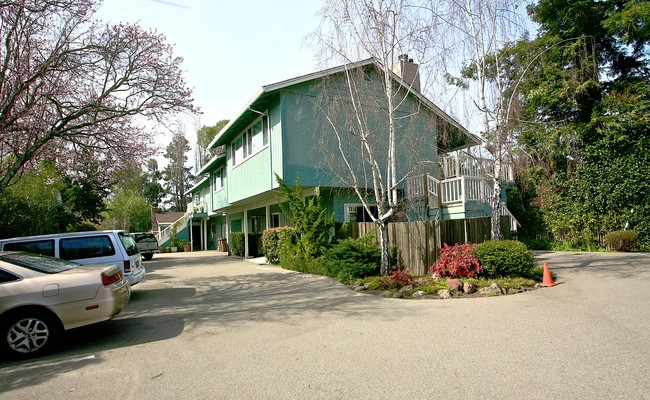 229-247 McAllister Ave in Kentfield, CA - Foto de edificio - Building Photo