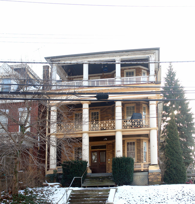 205 Lincoln Ave in Pittsburgh, PA - Building Photo - Building Photo