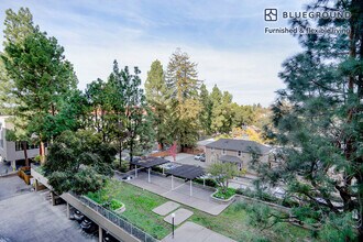 501 Forest Ave in Palo Alto, CA - Building Photo - Building Photo