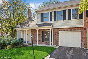 163 Bright Ridge Dr in Schaumburg, IL - Building Photo