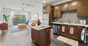 The Standard at Domain Northside Apartments in Austin, TX - Building Photo