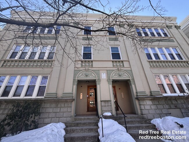 62 Egmont St, Unit 5 in Brookline, MA - Building Photo - Building Photo