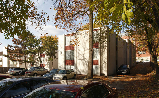 316 E Madison St in Ann Arbor, MI - Foto de edificio - Building Photo