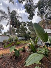 508 12th Ave N in St. Petersburg, FL - Building Photo - Building Photo