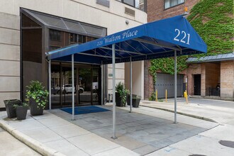 221 E Walton Plz in Chicago, IL - Foto de edificio - Building Photo