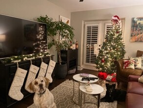 227 N Dotger Ave, Unit E 14 in Charlotte, NC - Building Photo - Building Photo