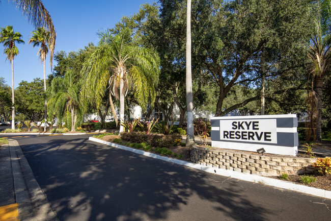 Skye Reserve in Brandon, FL - Foto de edificio - Building Photo