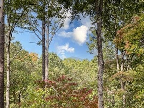 111 Watkins Farm Rd in Blue Ridge, GA - Building Photo - Building Photo