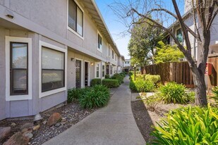359 Pantano Cir in Pacheco, CA - Building Photo
