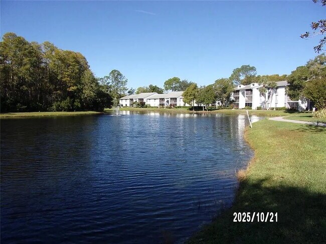 1345 Pine Ridge Cir E in Tarpon Springs, FL - Building Photo - Building Photo