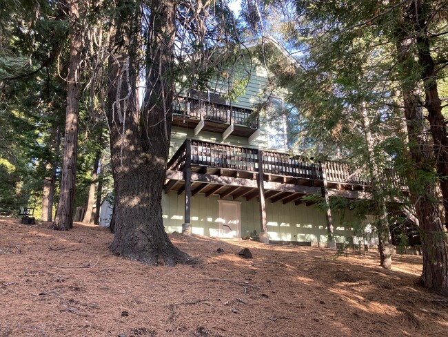 28943 Potomac Dr in Lake Arrowhead, CA - Building Photo - Building Photo