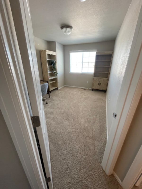 1628 Shoreview Pkwy in Windsor, CO - Building Photo - Building Photo