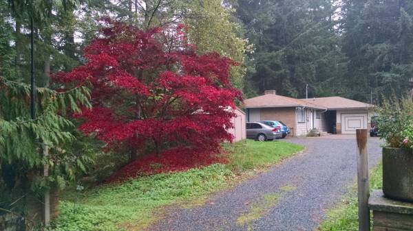 703 184th St SW, Unit M205 in Bothell, WA - Foto de edificio