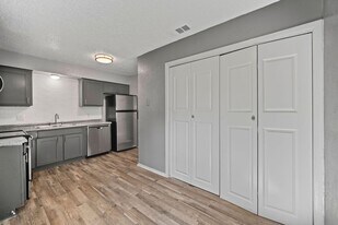 509 N Elm St in Arlington, TX - Building Photo