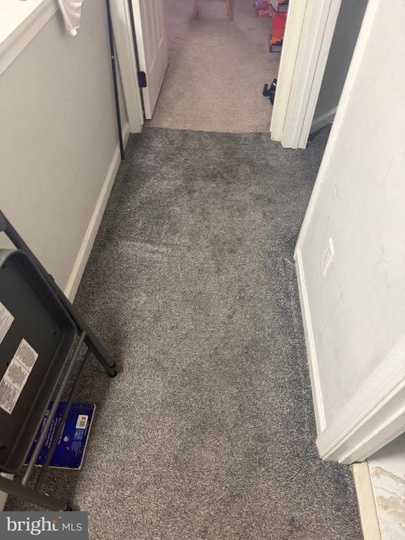 9022 Coriander Cir in Manassas, VA - Building Photo - Building Photo