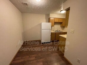 1306 E McDaniel St in Springfield, MO - Building Photo - Building Photo