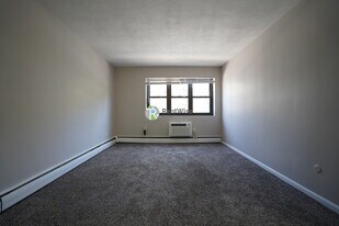 39 Shepard St in Boston, MA - Building Photo