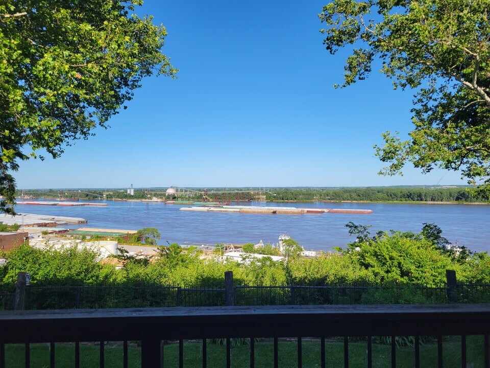 4536 Ohio St, Unit Furnished in St. Louis, MO - Building Photo