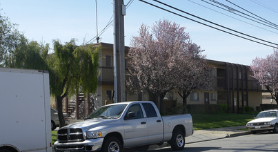 600 Buena Vista Ave in Alameda, CA - Building Photo - Building Photo