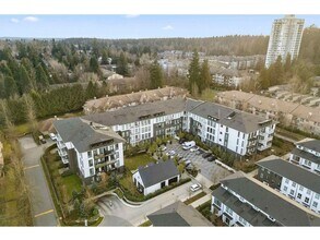 14968-101 101a Ave in Surrey, BC - Building Photo - Building Photo