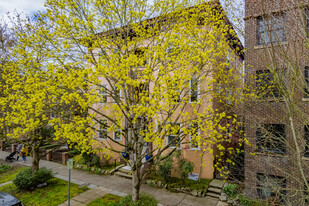 Siena on Capitol Hill Condos in Seattle, WA - Foto de edificio - Building Photo