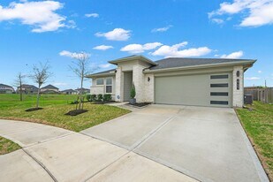 29403 Ella Larchmont Ct in Katy, TX - Building Photo