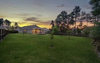 334 S Cadence Hills Loop in Willis, TX - Building Photo