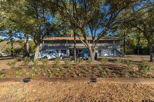 9951 FM 346 in Whitehouse, TX - Building Photo